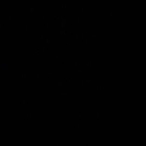 Meet your Posher, Alina